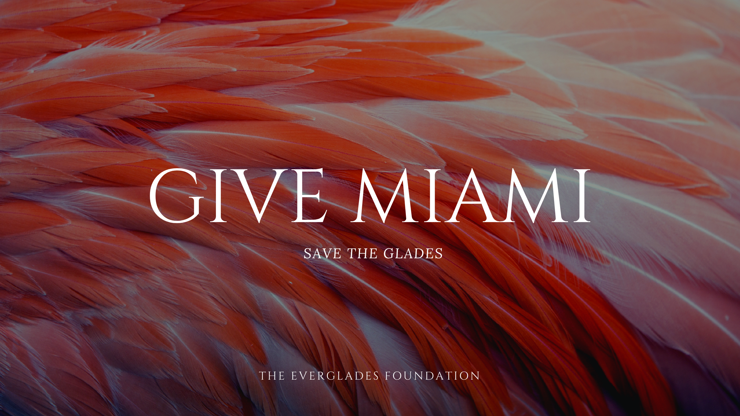 Give Miami